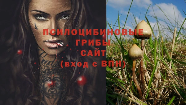 каннабис Няндома