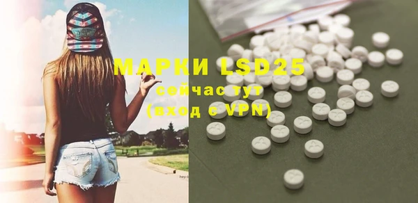тгк Горнозаводск