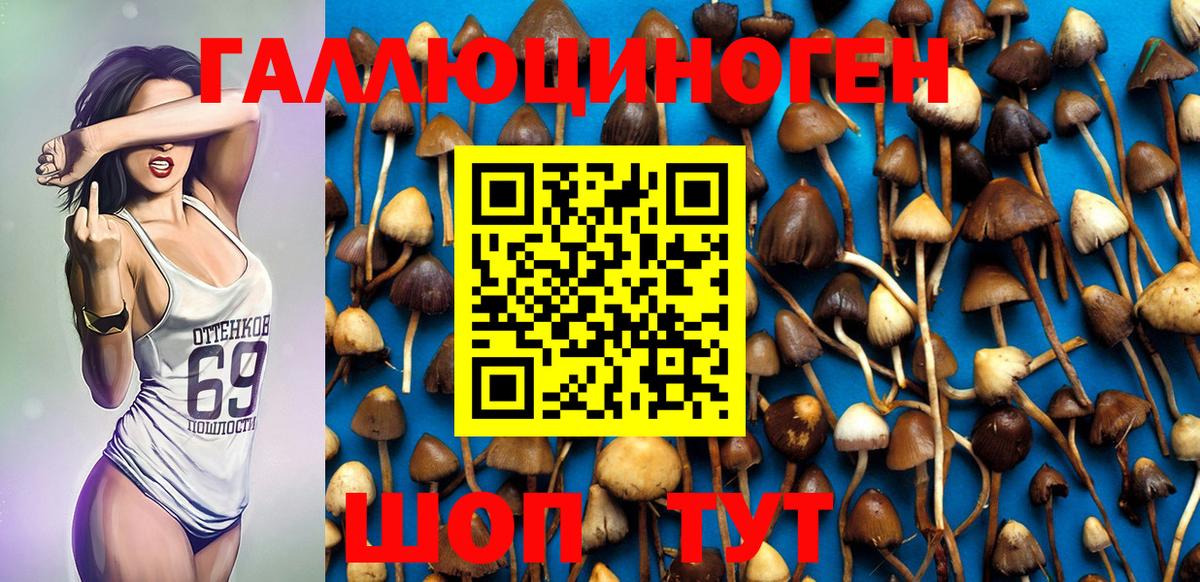 Псилоцибиновые грибы Magic Shrooms  Чусовой 